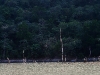 081124_canon_del_sumidero31.jpg