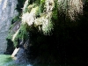 081124_canon_del_sumidero46.jpg