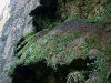 081124_canon_del_sumidero47.jpg