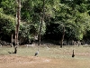 081124_canon_del_sumidero52.jpg