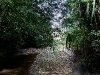 090705_rio_urubamba20.jpg