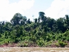 090709_sepahua_atalaya15.jpg