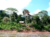 090709_sepahua_atalaya17.jpg