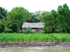 090709_sepahua_atalaya28.jpg