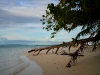 090814_ngemelis17.jpg