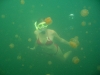 090819_jellyfish_lake07.jpg