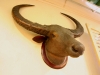 091123_bangkok45.jpg