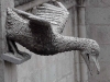 101004_basilica_del_voto_nation57