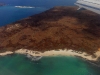 101005_galapagoshx503