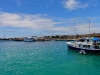 101005_galapagoshx507
