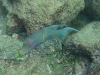 101007_bartholome42