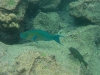 101007_bartholome43