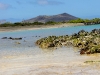 Floreana beach