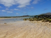 Floreana beach