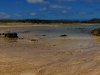 Floreana beach
