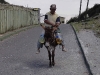 Riding the donkey