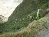 Dirt road down to Pululahua