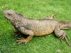 parque_simon_bolivar21