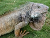 parque_simon_bolivar27