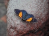 101204_vulcan_tungurahua18