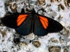 101204_vulcan_tungurahua21