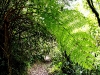 101207_waterfalls23