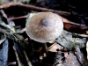 101207_waterfalls24