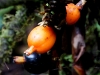 101207_waterfalls38