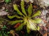 101207_waterfalls44