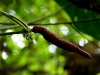 101207_waterfalls45