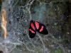101207_waterfalls46