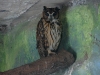 zoo_banos23