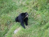 zoo_banos24