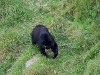zoo_banos25