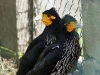 zoo_banos30