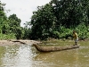 101220_amazon31