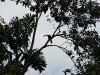 101220_amazon34