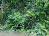 101220_amazon40_0
