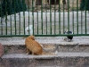 101231_casco_viejo31