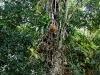 101231_panama_zoo21