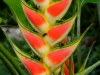 101231_panama_zoo28
