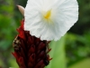 101231_panama_zoo29