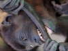 110107_howler_moneys16