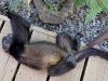 110107_howler_moneys31