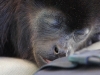 110107_howler_moneys36