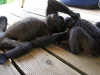 110107_howler_moneys39