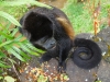 110107_howler_moneys73