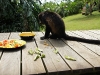 110107_howler_moneys74