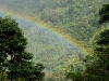 Rainbow over cloud forest