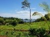 Isla Parida